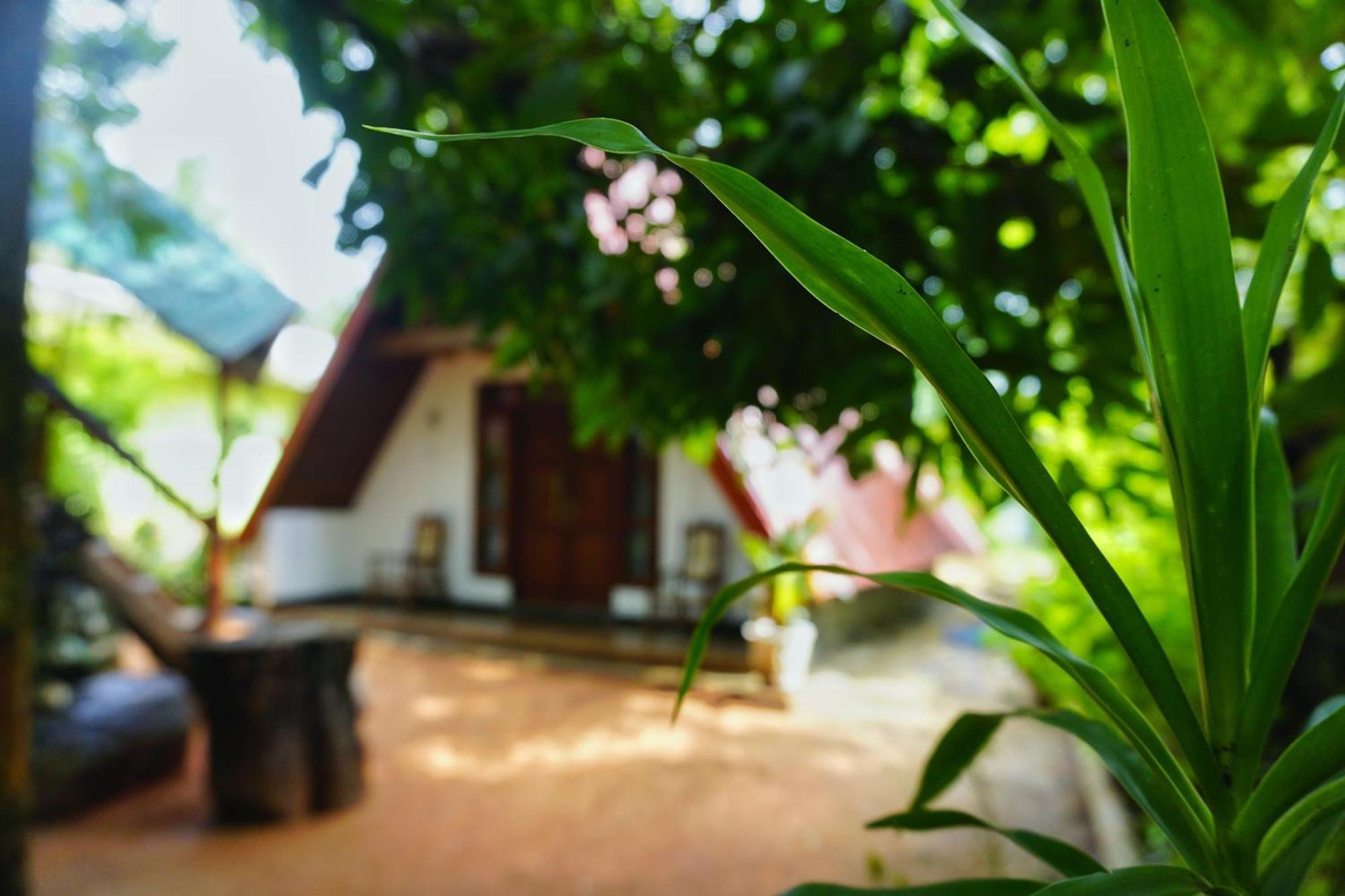 Villa Sky Sigiriya